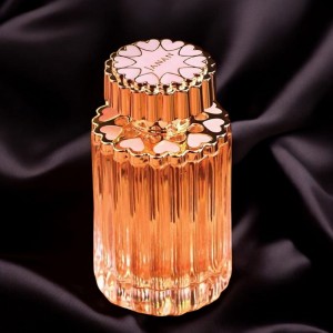 Women's Perfume Jana...