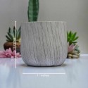 Plant Pot PP-05